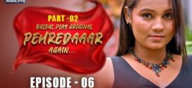 Pehredaaar Again (2025) S01E04-06 Hindi BulBulPlay WEB-DL H264 AAC 1080p 720p 480p Download