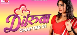 Dilruba (2025) S01 Hindi LookEntertainment WEB-DL H264 AAC 1080p 720p 480p Download