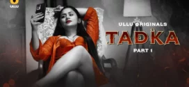 Tadka Part 1 (2025) S01 Hindi Ullu WEB-DL H264 AAC 1080p 720p 480p Download